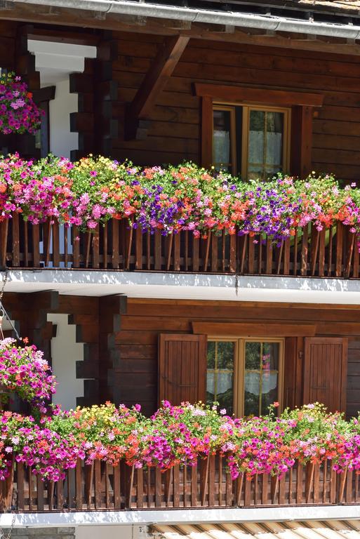 Hotel Les Melezes Hauderes Luaran gambar